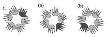 Class 5 Maths - Does it look the same - CBSE Worksheets Solutions - 1