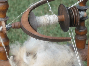 NCERT Solutions for Class 6 Science - Fibre to Fabric