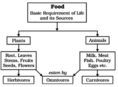 Key Concepts: Food - Where does it Come from? | Advance Learner Course: Science Class 5