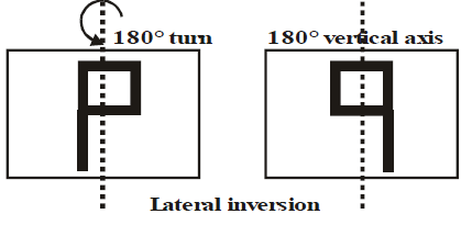 Image Formation: Concave & Convex Mirror | Science Class 10