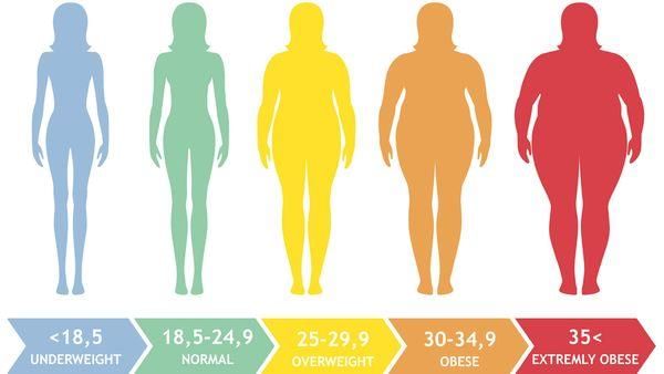 Fig: Body Mass Index