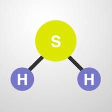 NCERT Solutions Class 12 Chemistry Chapter 1 - Solutions