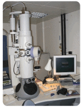Electron microscope