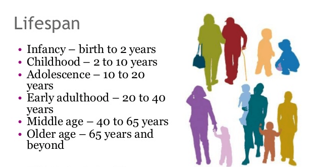 The lifespan of a human