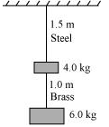 NCERT Solutions Class 11 Physics Chapter 8 - Mechanical Properties of Solids