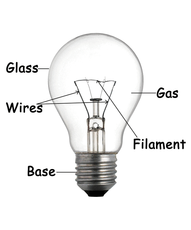 Torch Bulb