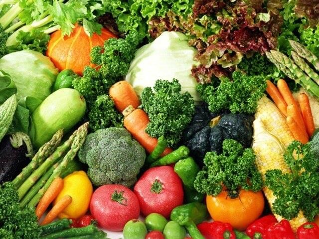 Class 10 Geography Chapter 4 Notes - Agriculture