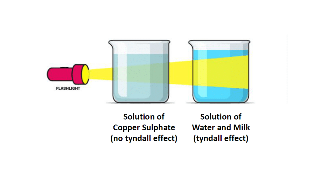 NCERT Exemplar (Part 2): Is Matter Around Us Pure | Science Class 9