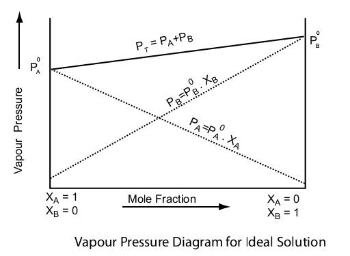 Vapour Pressure, Raoult`s Law, Ideal & Non Ideal Solutions | Physical Chemistry for NEET