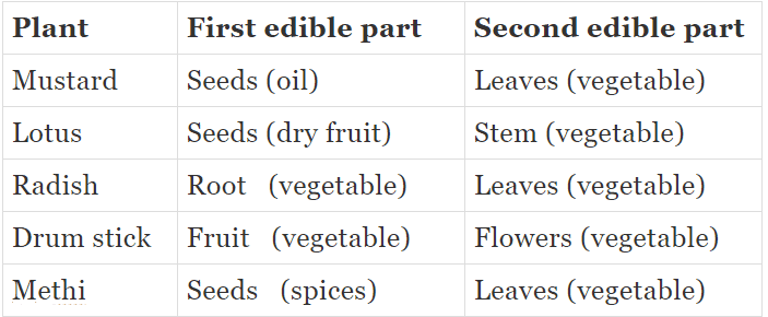 Key Concepts: Food - Where does it Come from? | Advance Learner Course: Science Class 5