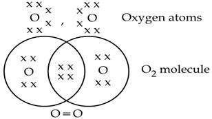 Overview: Carbon Compounds & Covalent Bonding in Carbon Compounds | Science Class 10
