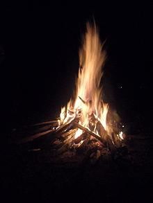Fig: Wood Fuel.