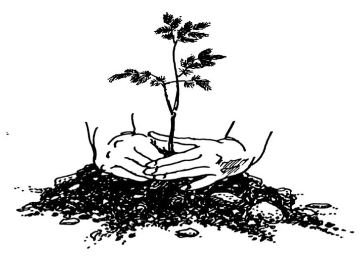NCERT सारांश: प्राकृतिक वनस्पति - 1 | यूपीएससी सीएसई के लिए भूगोल (Geography) - UPSC