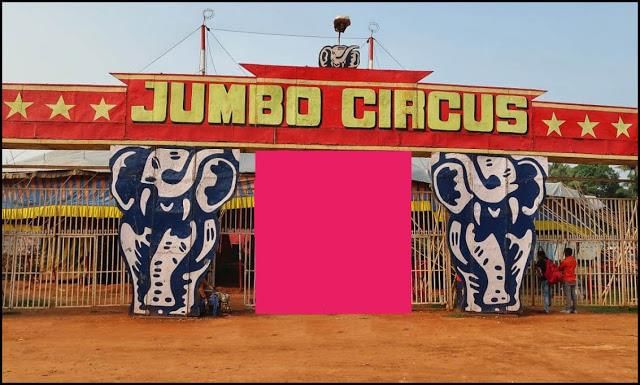 Nitin Singhania Summary:  Indian Circus | Famous Books for UPSC Exam (Summary & Tests)