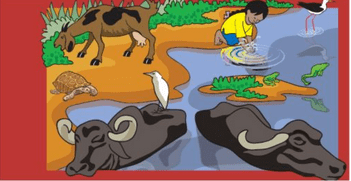 Poonam’s Day out NCERT Solutions | EVS for Class 3