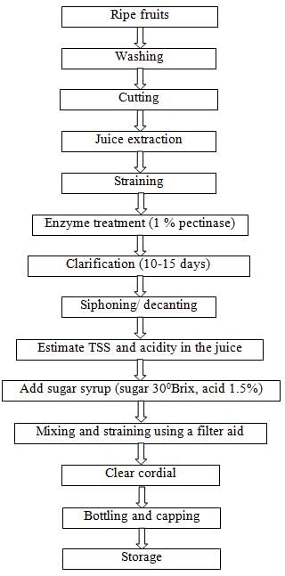 Processed Products from Fruits and Vegetables, Crop Process Engineering | Crop Process Engineering Notes - Agricultural Engg - Agricultural Engineering