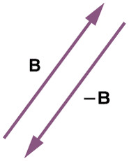 Negative vector
