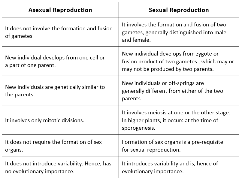 Asexual Reproduction in Plants | Biology for JAMB