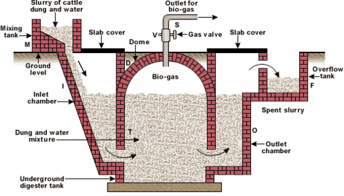 Class 10 Science: CBSE Sample Question Paper- Term I (2019-20) - 1 | Science Class 10