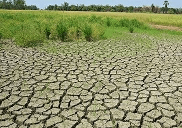 Land Degradation
