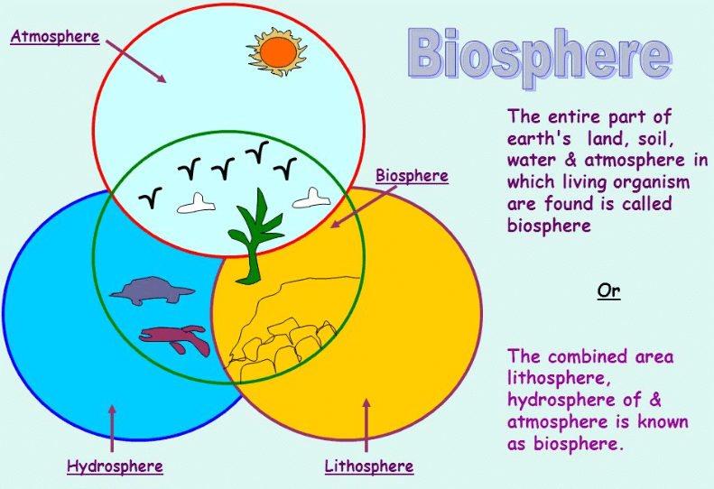NCERT Solutions for Class 7 Social Science - Environment