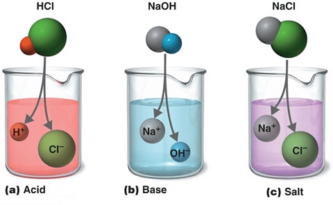 Overview: Acids & Bases - 1 | General Awareness & Knowledge - Bank Exams
