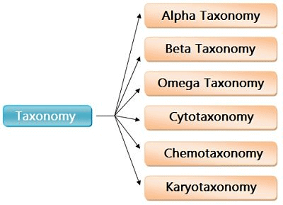 Taxonomic Categories