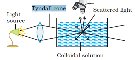 Preparation, Purification & Properties of Colloidal Solutions | Physical Chemistry for NEET