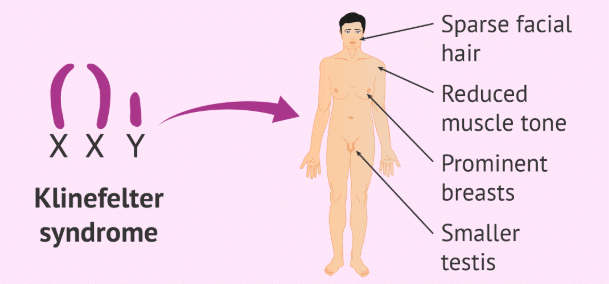 Genetic & Chromosomal Disorders | Biology Class 12 - NEET