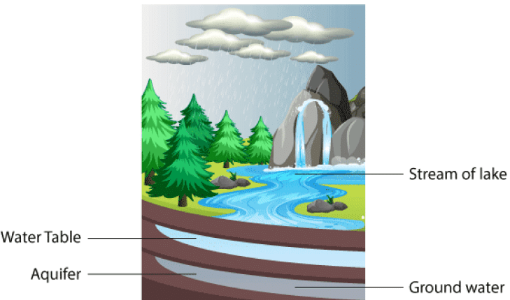 NCERT Solutions for Class 8 Science - Water - A Precious Resource