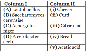 NEET Previous Year Questions (2016-2025): Microbes in Human Welfare | Biology Class 12