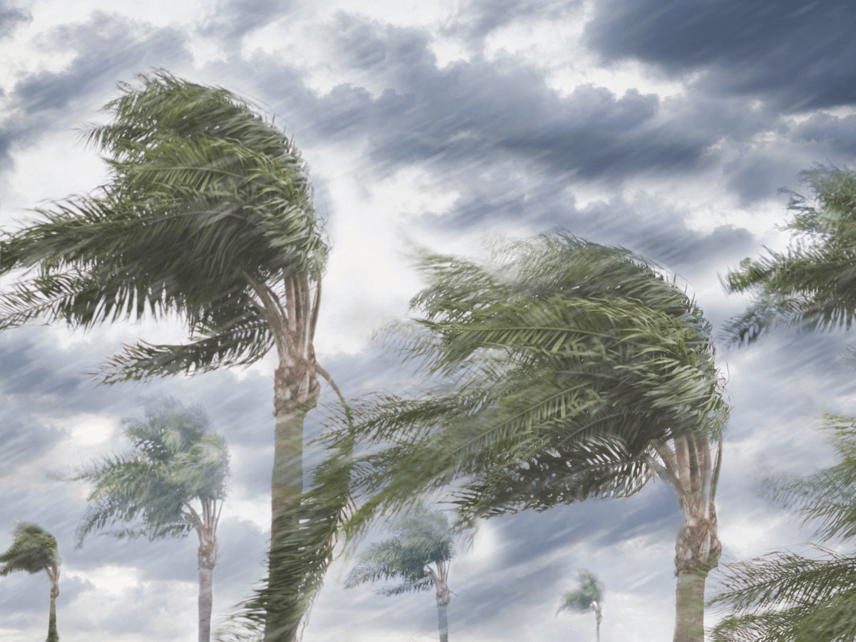 Winds, Storms and Cyclones Class 7 Notes Science