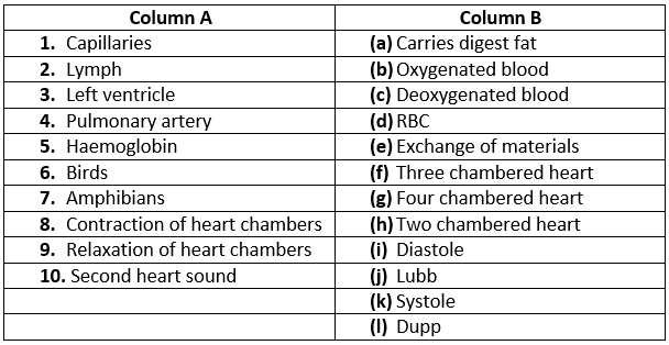 Class 10 Science Practice Question Answers - Circulatory System