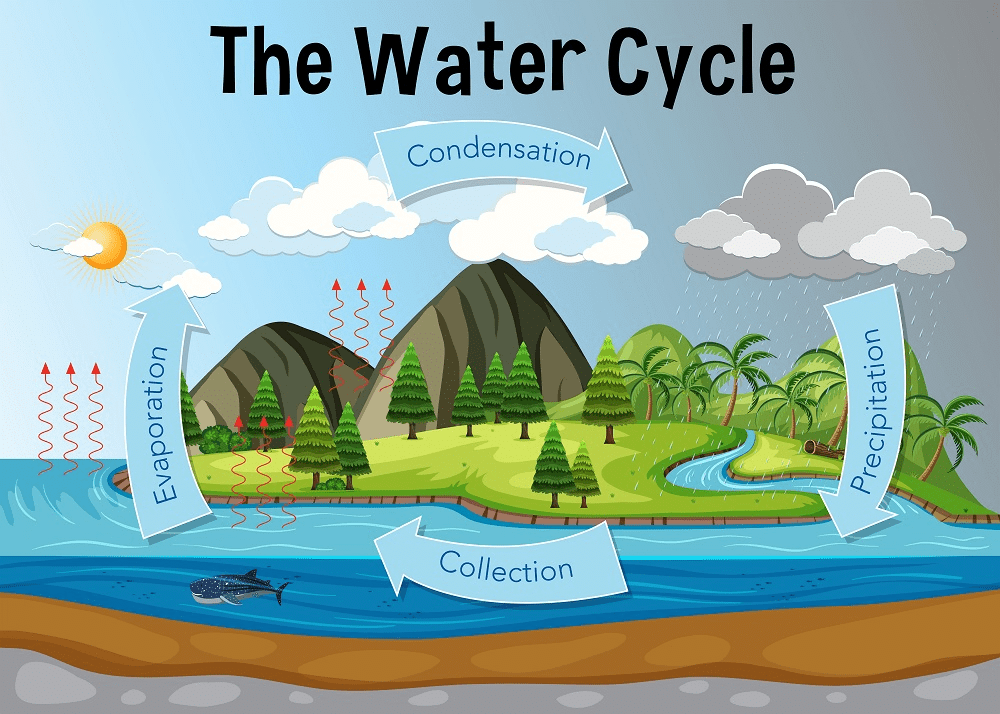Class 6 Geography Chapter 5 Question Answers - Major Domains of the Earth