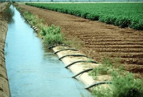 Canal irrigation