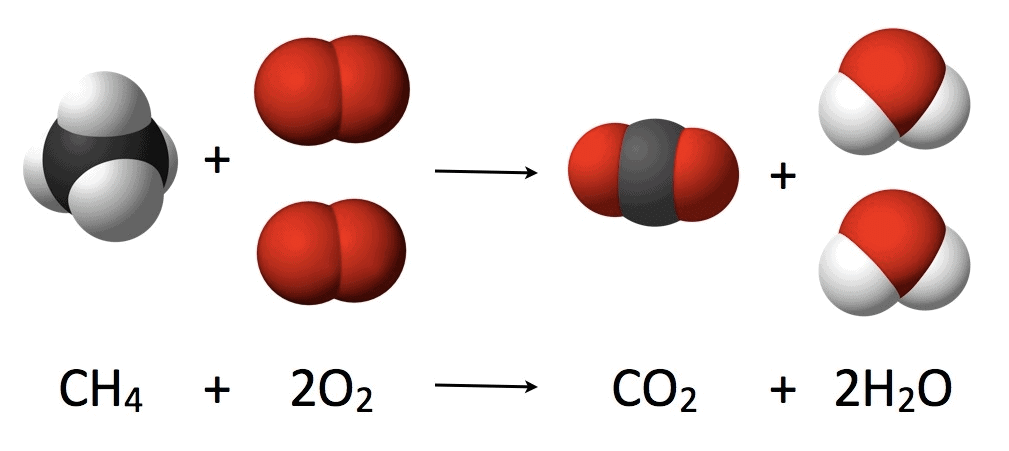 Law of Conservation of Mass