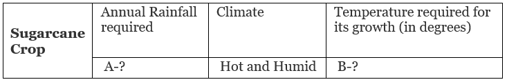 Social Science Past Year Paper with Solutions - 2020 | Past Year Papers for Class 10