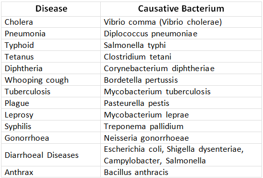 Revision Notes: Human Health & Disease | NCERT Exemplar & Revision Notes for NEET
