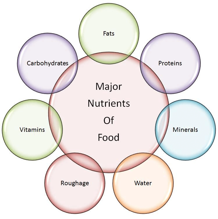 Key Concepts: Components of Food | Advance Learner Course: Science Class 5
