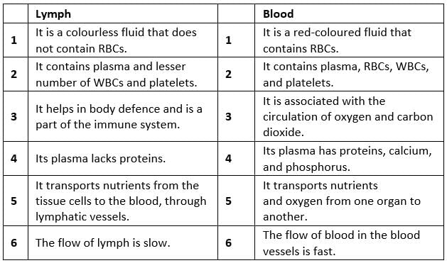 NCERT Solutions Class 11 Biology Chapter 18 - Body Fluids and Circulation