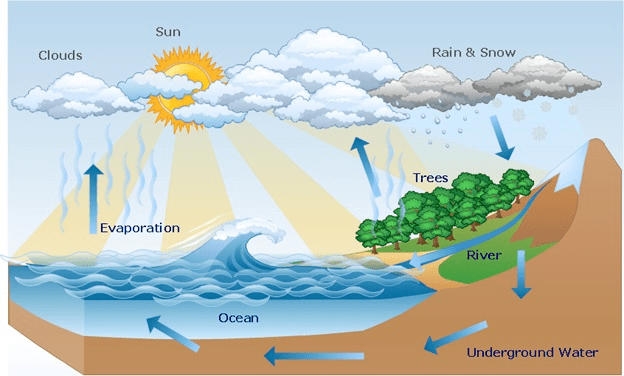 Class 7 Geography Chapter 1 Question Answers - Environment