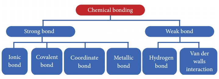 Types of Chemical Bonds | Physical Chemistry for NEET