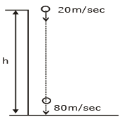 NEET Previous Year Questions (2014-2025): Motion in a Straight Line | Physics Class 11