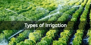 Irrigation | Civil Engineering SSC JE (Technical) - Civil Engineering (CE)