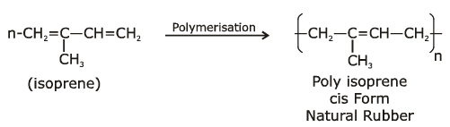 NEET Previous Year Questions (2014-2024): Polymers (Old NCERT) | Chemistry Class 12