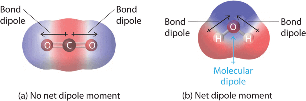 Bond Parameters | Chemistry Class 11 - NEET