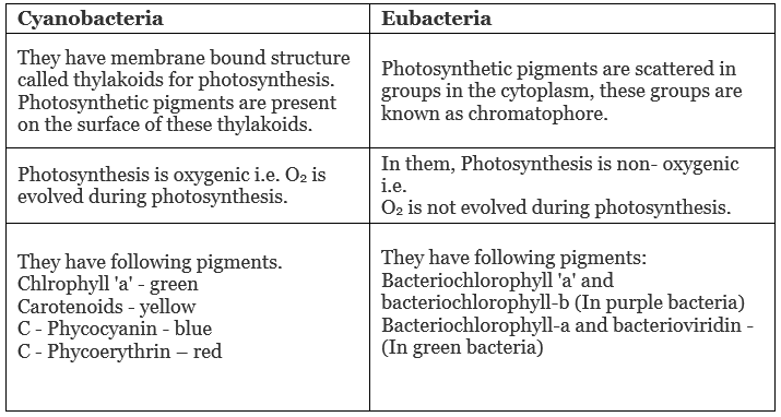 Economic Importance, Harmful Effects & Types of Bacteria | Additional Study Material for NEET