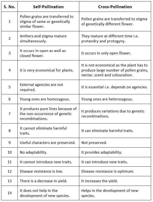 Pollination and Outbreeding Devices | Biology Class 12 - NEET