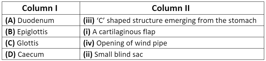 NCERT Exemplar: Digestion and Absorption (Old NCERT) | Biology for Grade 11