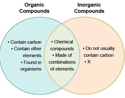 The Living World Class 11 Notes Biology Chapter 1